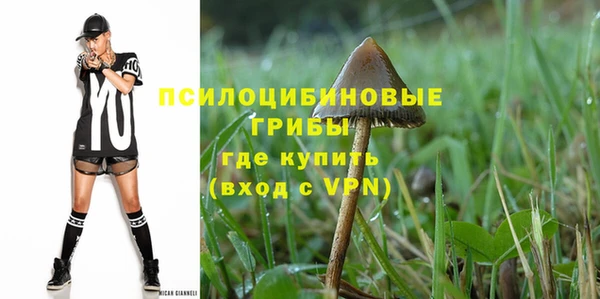 скорость Ладушкин