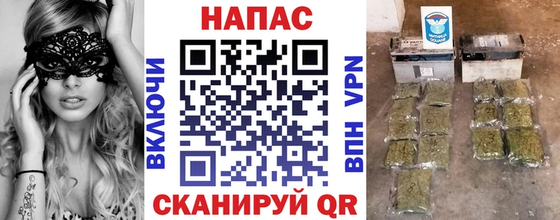 закладка  Фатеж  Канабис Amnesia 